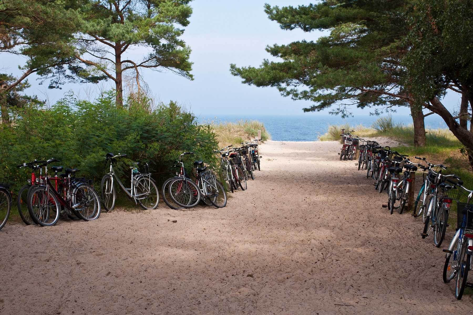 Fahrt zum Strand